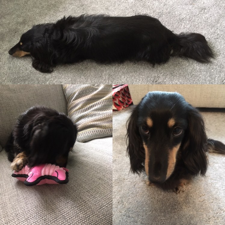 ee267ea7-ccdb-4559-9cb1-7f4a70720fe3