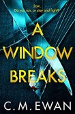a window breaks
